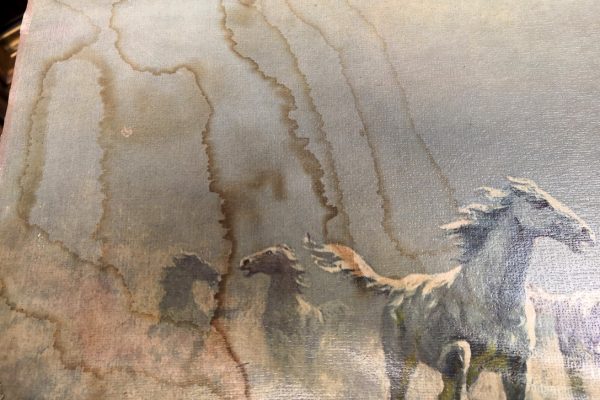 Restoration Paintings: Horses